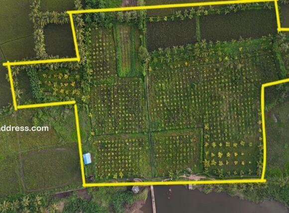Agricultural Land for Sale