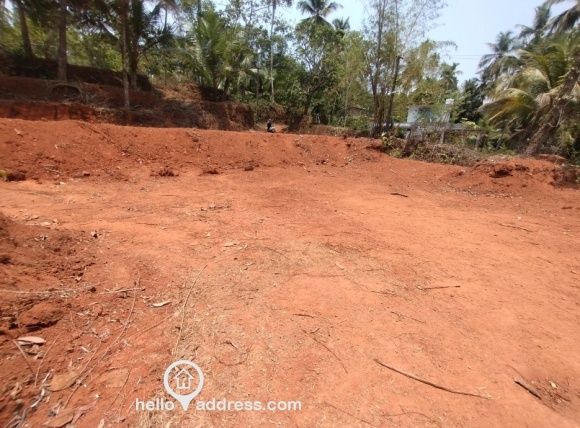 മന്തരത്തൂരിൽ സ്ഥലം വിൽപനയ്ക്ക്