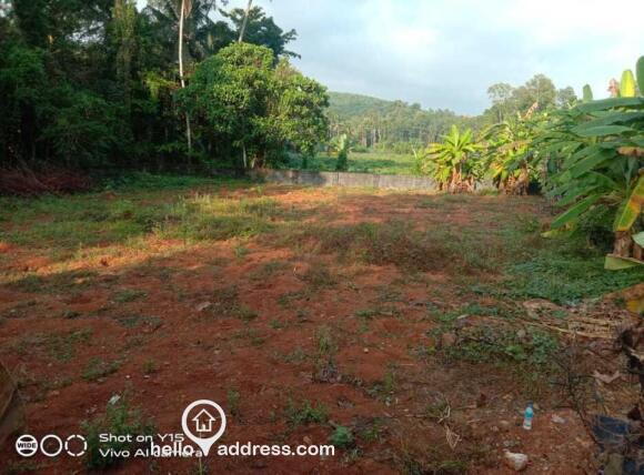 Entrance view elevation