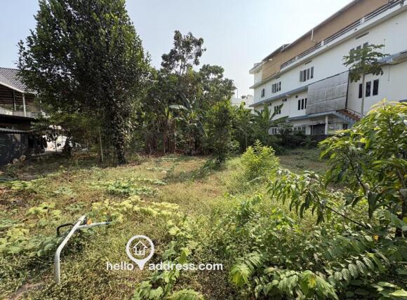 Commercial Land for Rent