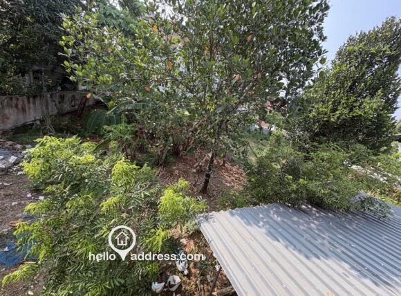 Prime Commercial Plot for Rent – 13 Cent from 50m from Highway, Angamaly