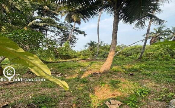 Residential Land for Sale