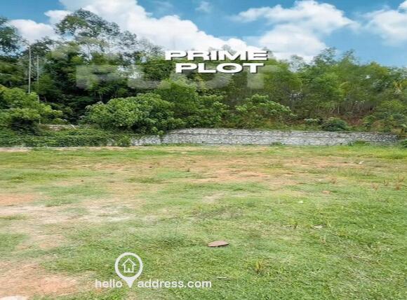 Commercial Land for Sale