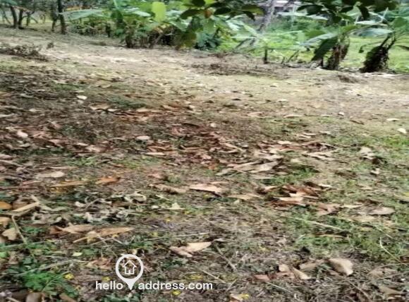 21 cent property near Markaz Knowledge City