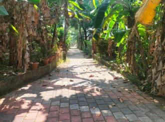 Residential Land for Sale in Kottayam, Kottayam town, Moolavattom, Near Amrita Vidyalayam