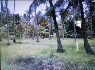 Residential Land for Sale in Thrissur, Kodungallur, Eriyad, kara