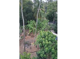 Commercial Land for Sale in Trivandrum, Thiruvananthapuram, Mannanthala, MC ROAD