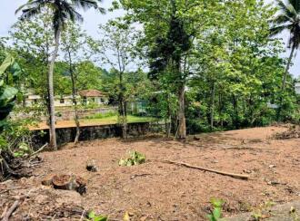 Residential Land for Sale in Pathanamthitta, Thiruvalla, Eraviperoor, From Puramattom Junction, first plot on the left side - North to Puthusserry - Kalloopara Rd