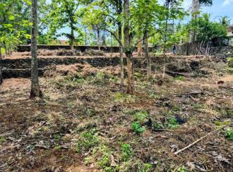 Residential Land for Sale in Pathanamthitta, Thiruvalla, Eraviperoor, From Puramattom Junction, first plot on the left side - North to Puthusserry - Kalloopara Rd