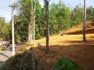 Residential Land for Sale in Kottayam, Kottayam town, Kanam, Palamattam Road