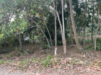 Residential Land for Sale in Trivandrum, Thiruvananthapuram, Maruthoor
