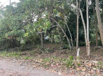 Residential Land for Sale in Trivandrum, Thiruvananthapuram, Maruthoor