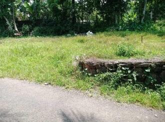 Residential Land for Sale in Kottayam, Manarcadu, Illivalavu