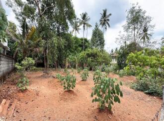 Residential Land for Sale in Thrissur, Kuriachira, Kuriachira, Koorkkanchery-Chiyyaram main road