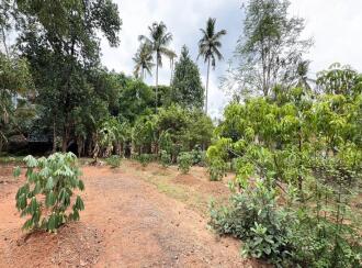 Residential Land for Sale in Thrissur, Kuriachira, Kuriachira, Koorkkanchery-Chiyyaram main road