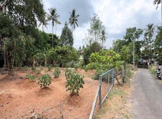 Residential Land for Sale in Thrissur, Kuriachira, Kuriachira, Koorkkanchery-Chiyyaram main road
