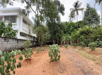 Residential Land for Sale in Thrissur, Kuriachira, Kuriachira, Koorkkanchery-Chiyyaram main road