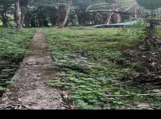 വാസയോഗ്യമായ ഭൂമി വില്പനയ്ക്ക് കോട്ടയം, Pala, Valavoor, Pala-ernakulam