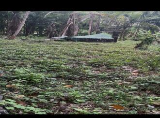 വാസയോഗ്യമായ ഭൂമി വില്പനയ്ക്ക് കോട്ടയം, Pala, Valavoor, Pala-ernakulam