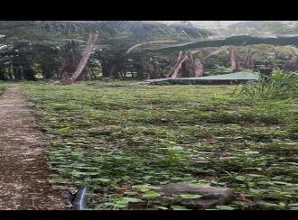 വാസയോഗ്യമായ ഭൂമി വില്പനയ്ക്ക് കോട്ടയം, Pala, Valavoor, Pala-ernakulam