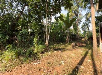 Residential House Villa for Sale in Thrissur, Thrissur, Chevvoor, Green Park Avenue, Chevoor