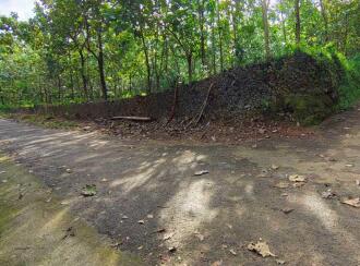 Commercial Land for Sale in Ernakulam, Perumbavoor, Kombanad, Krariyeli