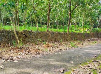 Commercial Land for Sale in Ernakulam, Perumbavoor, Kombanad, Krariyeli