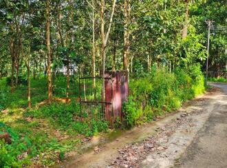 Commercial Land for Sale in Ernakulam, Perumbavoor, Kombanad, Krariyeli