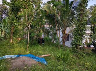 Residential House Villa for Sale in Kollam, Anchal, Alencherry