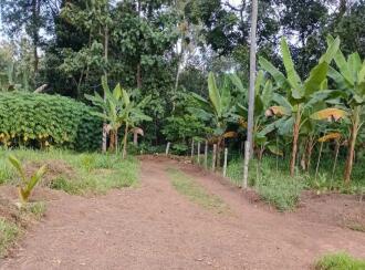 Residential House Villa for Sale in Kollam, Anchal, Alencherry