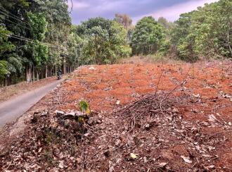 Residential Land for Sale in Kottayam, Pala, Manathoor, 2 km from Manathoor school junction