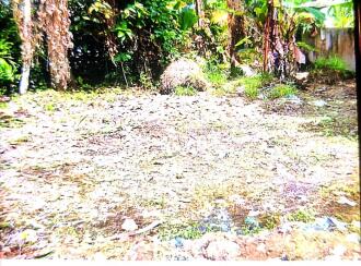 Residential Land for Sale in Kottayam, Vaikom, Vaikom