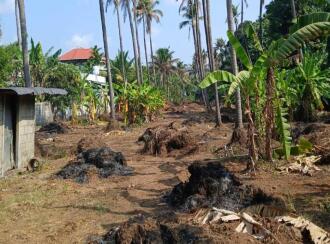 Residential Land for Sale in Thrissur, Thrissur town, Thrissur, peechi vazhani road