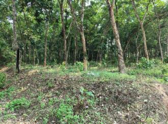 Residential Land for Sale in Kollam, Pathanapuram, Pathanapuram