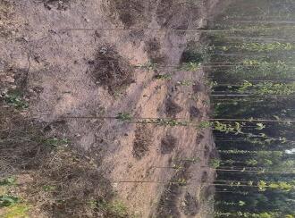 Residential Land for Sale in Kollam, Parippally, Kalluvathukkal, Near Marthoma church