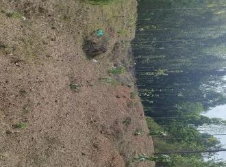 Residential Land for Sale in Kollam, Parippally, Kalluvathukkal, Near Marthoma church