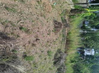 Residential Land for Sale in Kollam, Parippally, Kalluvathukkal, Near Marthoma church