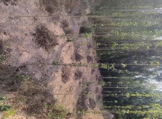 Residential Land for Sale in Kollam, Parippally, Kalluvathukkal, Near Marthoma church