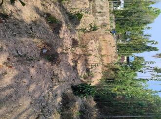 Residential Land for Sale in Kollam, Parippally, Kalluvathukkal, Near Marthoma church