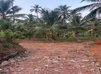 Residential Land for Sale in Kozhikode, Vatakara, Villiyapally, Milma plant