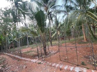 Residential Land for Sale in Kozhikode, Vatakara, Villiyapally, Milma plant