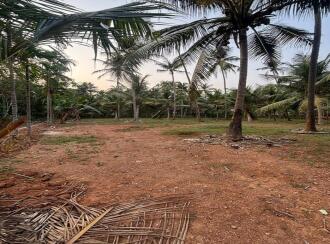 Residential Land for Sale in Kozhikode, Vatakara, Villiyapally, Milma plant