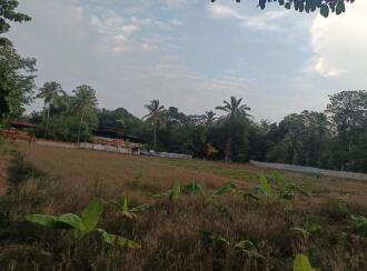 Residential Land for Sale in Kollam, Anchal, Alencherry, Kadavaram