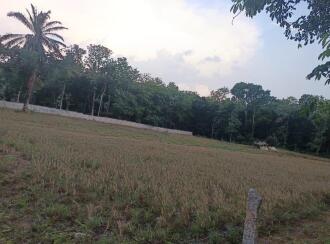 Residential Land for Sale in Kollam, Anchal, Alencherry, Kadavaram
