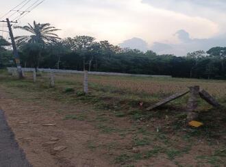 Residential Land for Sale in Kollam, Anchal, Alencherry, Kadavaram