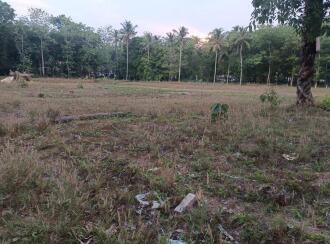 Residential Land for Sale in Kollam, Anchal, Alencherry, Kadavaram