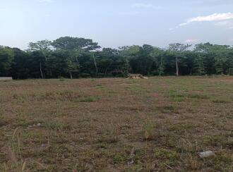 Residential Land for Sale in Kollam, Anchal, Alencherry, Kadavaram