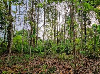 Residential House Villa for Sale in Kottayam, Pampady, Vazhoor, Pulikkakavala