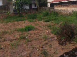 Residential Land for Sale in Ernakulam, Aluva, Thottakkattukara, NEAR HOLY CONVENT SCHOOL