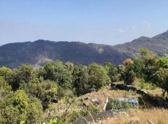 Agricultural Land for Sale in Idukki, Peerumade, Elappara, Madamakulam, Kuttikanam